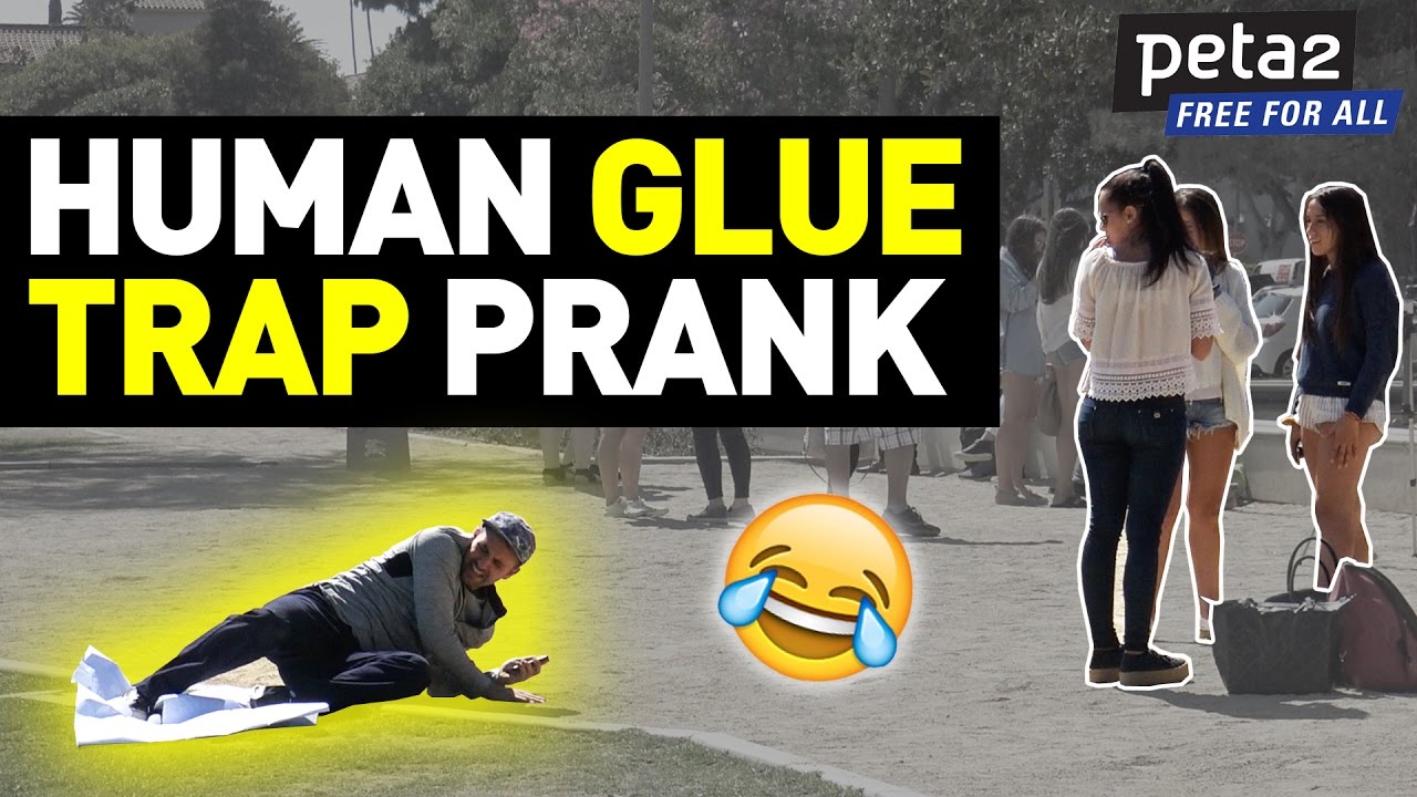 Human Glue Trap Prank YouTube