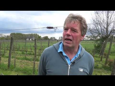 Leon Masselink van Wijngoed Montferland over wijnbouw