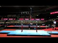 Wibye harald nor  2021 artistic worlds kitakyushu jpn  qualifications parallel bars