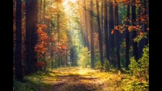 Alan Walker Style - Force Magic