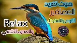 صوت وتغريد الكروان الكوكتيل والعصافير للنوم والاسترخاء/ The sound of birds for sleeping and relaxing