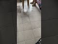 Floor Tiles Suddenly Crack || ViralHog