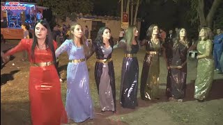 hakkari düğünleri kurdish wedding muhteşem şexani şiyar berwari