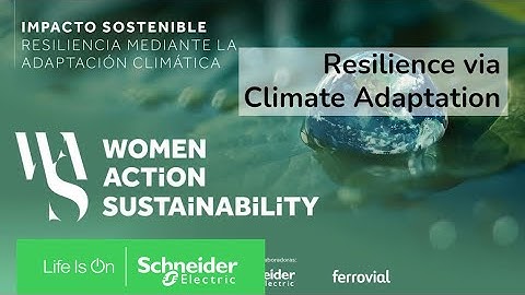 The Financial Sector