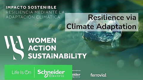 The Financial Sector's Role in Climate Adaptation Strategy | Schneider Electric