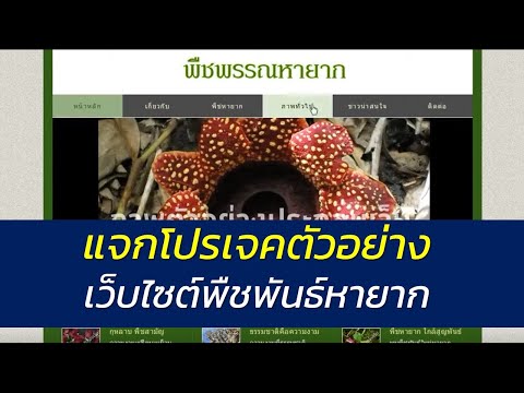 แจกโปรเจคตัวอย่างเว็บไซต์พืชพันธ์หายาก  พัฒนาด้วยภาษาPHP | ตัวอย่างระบบแจกฟรี