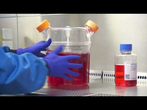 Lab-grown blood given to patients in world first clinical trial | 5 News