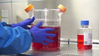 Lab-grown blood given to patients in world first clinical trial | 5 News