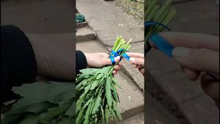 A practical knot for bundling vegetables #knots #knotskill