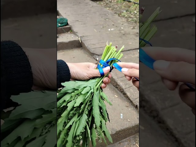 A practical knot for bundling vegetables #knots #knotskill