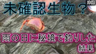 秘境で釣りをしたら未確認生物が釣れた【沖縄】
