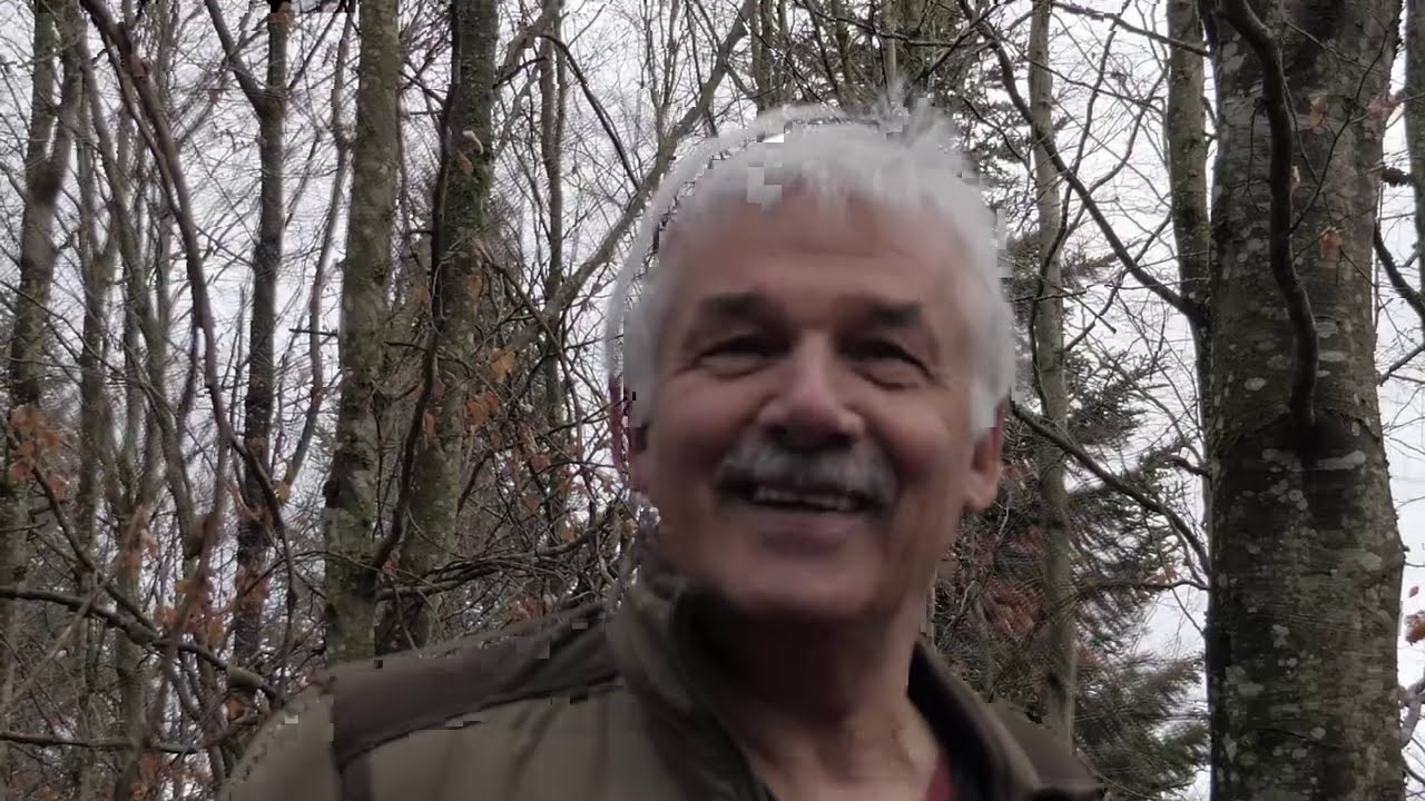 Régénération naturelle ou plantation, et quelles essences pour les décennies à venir?