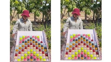 IQ Challenge: Can You Beat the Record? Sort Color Ball Puzzle Game Challenge so Smart