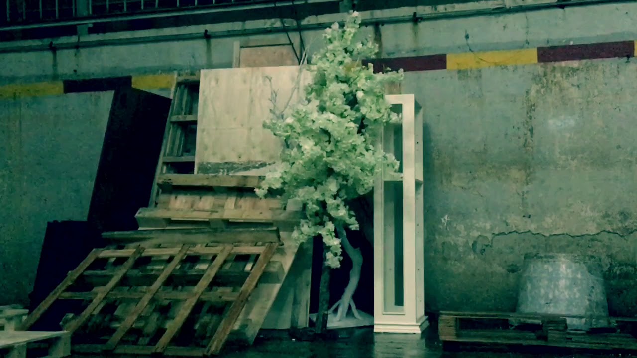 Fake Plastic Trees / Cover YouTube