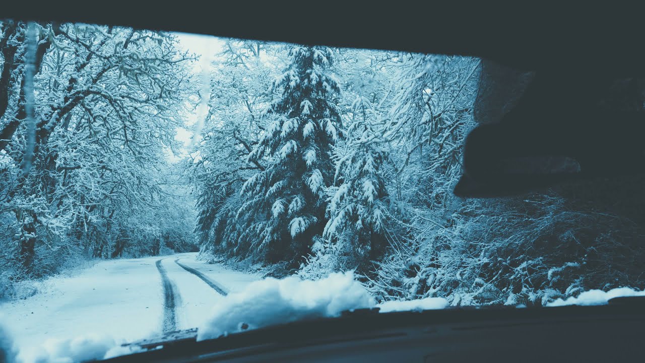 Last Day of Winter | Chill Playlist