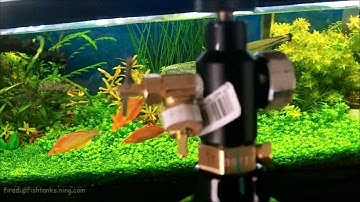 D.I.Y CO2 for Paintball Cylinders