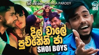Shoi Boys - දිල් වාලේ පුච්නේනි ජා | Kichi Ne Baba | Parody Song
