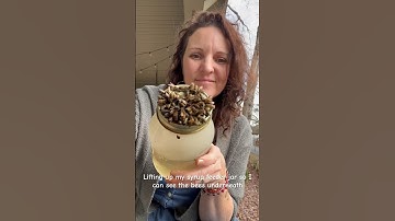 Bee feeder #beekeeping #honeybee #api #beekeeperslife #honey #savethebees #winter #bees #stitch