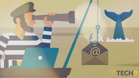 How to stay protected from whaling attacks