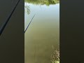 Карась за 26 секунд