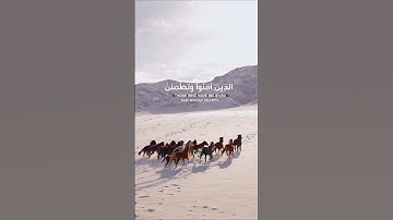 حين يتكلم الله: آيات تهزّ القلب وتحيي الروح #القرآن_الكريم_كلام_الله_آيات_تهزالقلب_تدبرالقرآن