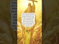 ✝️ #glaube #liebe #bibel #apokalypse #jesus #messias #evangelium #erlösung #endzeit #offenbarung