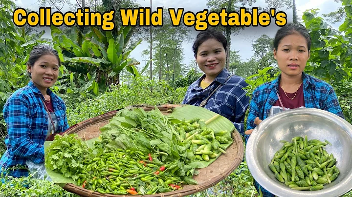 Collecting Wild Green Vegetable With My Sister In Law🥰|| Village Farming Lifestyle - DayDayNews