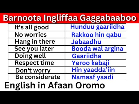 Barnoota Ingliffaa Gaggabaaboo Kutaa 7 Short English Expressions In Afaan Oromo Part 7