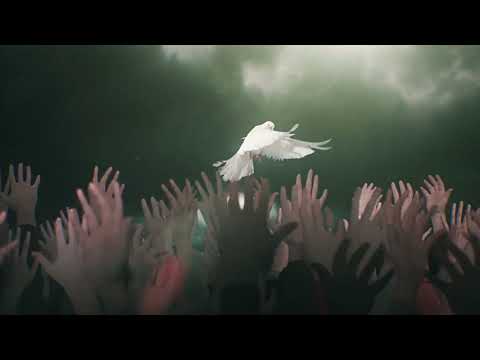 Dove background 4