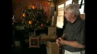 The Magic Orange Tree