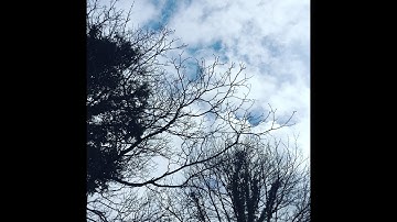 Chaos Protocols - Gordon White