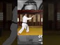 Bassai Dai part  7 Karate shotokan