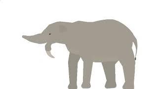 50 Dinosaurs | deinotherium