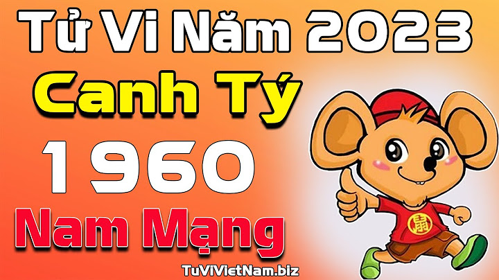 Canh tý 2023 là mạng gì