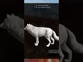 Very Rare! | Albino Wolf! | theHunter : call of the wild