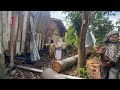 Ibu tunggal rayu bantuan, rumah pusaka hampir 100 tahun dihempap pokok
