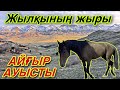 Жылқының ЖЫРЫ. Кер айғыр үйірді тартып алды.