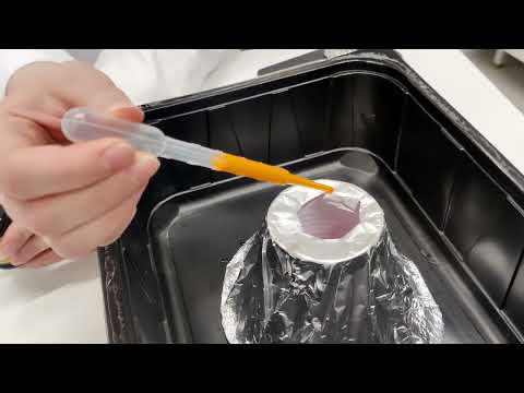 Etikka on todella tehokas rikkaruohomyrkky