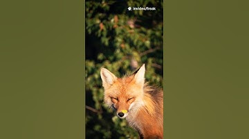 “You won’t believe these AI image tools in 2025 🤯 | #AItools #shorts #NextGenAITools”