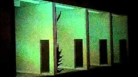 Beware of the Shadows - Demo