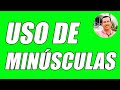 USO DE MINÚSCULAS (PASO A PASO CON EJEMPLOS) - WILSON TE EDUCA