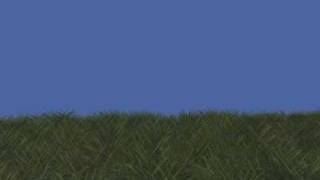 Real Time Grass Rendering