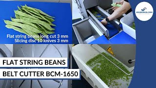 String Beans Cutting Machine | Vegetable Belt Slicer BCM-1650 | Fruit & Vegetable Processing