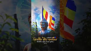 Download Lagu 8 January Jagtik Buddh Dhamma Dhwaj Din #KALPNILEDITING #jaybheemstatus  #drbabasahebambedkar #short MP3