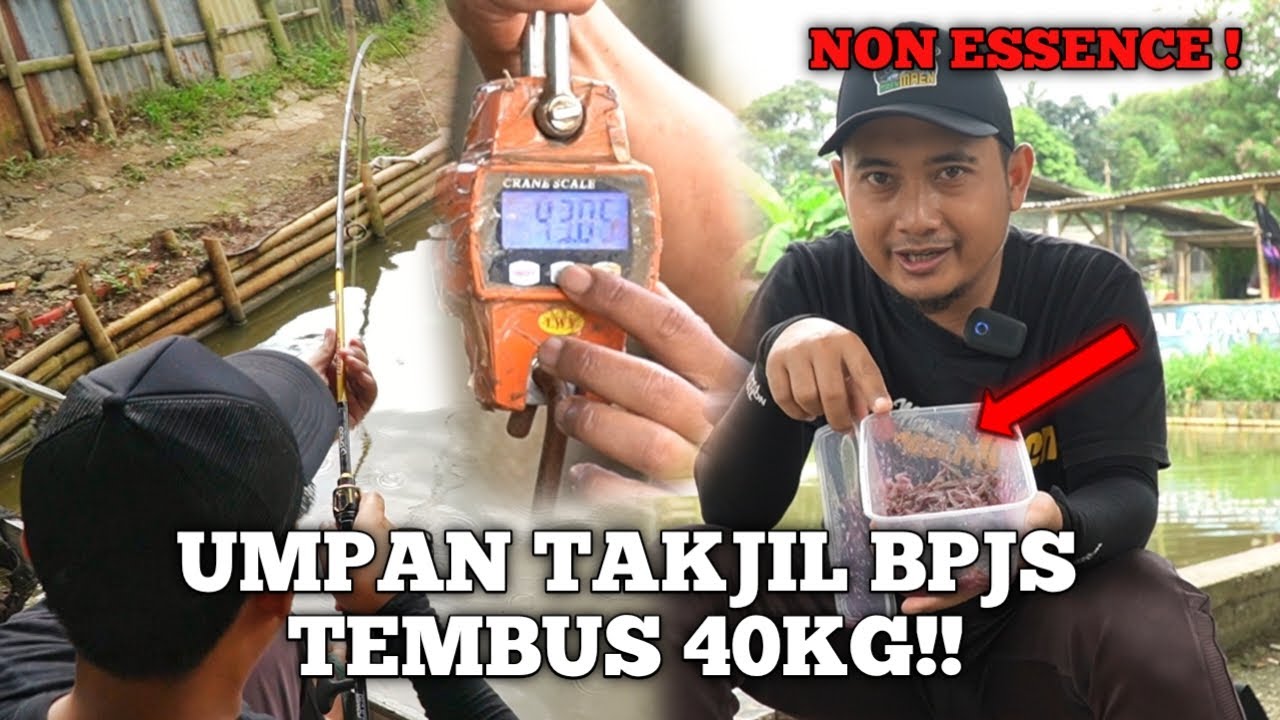UMPAN BPJS 7.000 BERHASIL BIKIN TETANGGA KESAL !! PRAKTIS BISA DI COBA BROO !!