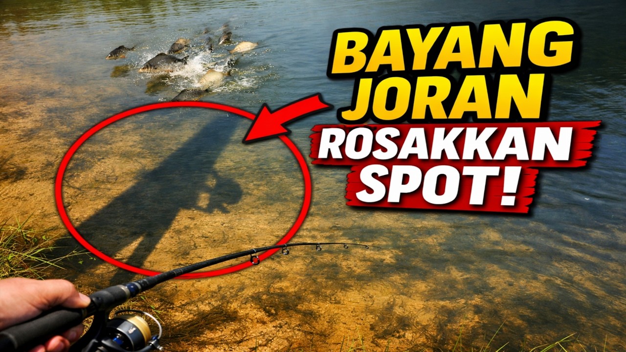 9 DARI 10 PEMANCING HALAU IKAN TANPA SEDAR... Adakah Bayang Joran Anda Punca Kumpau?