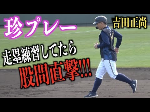 珍プレー 股間に打球が直撃 激痛でうずくまる吉田正尚 Youtube