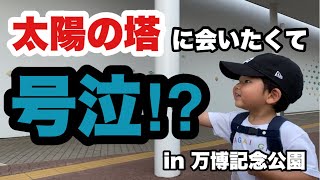 【大号泣⁉︎】太陽の塔に会いに行ってきた【芸術は爆発だ】