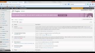 How To Update A Wordpress Plugin From Your Admin Panel Area