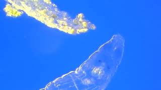 DSCN0151